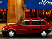 Rover 100