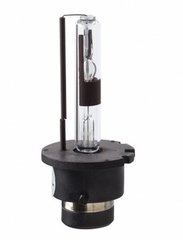 Losse Xenon lampen