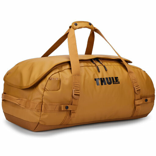 Thule reistas | Chasm | 70L | golden