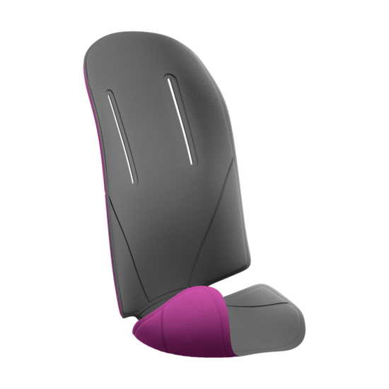 Thule RideAlong padding