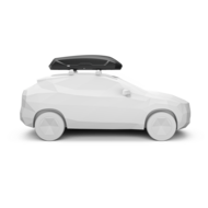 Thule Pulse 2 L