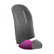 Thule RideAlong padding