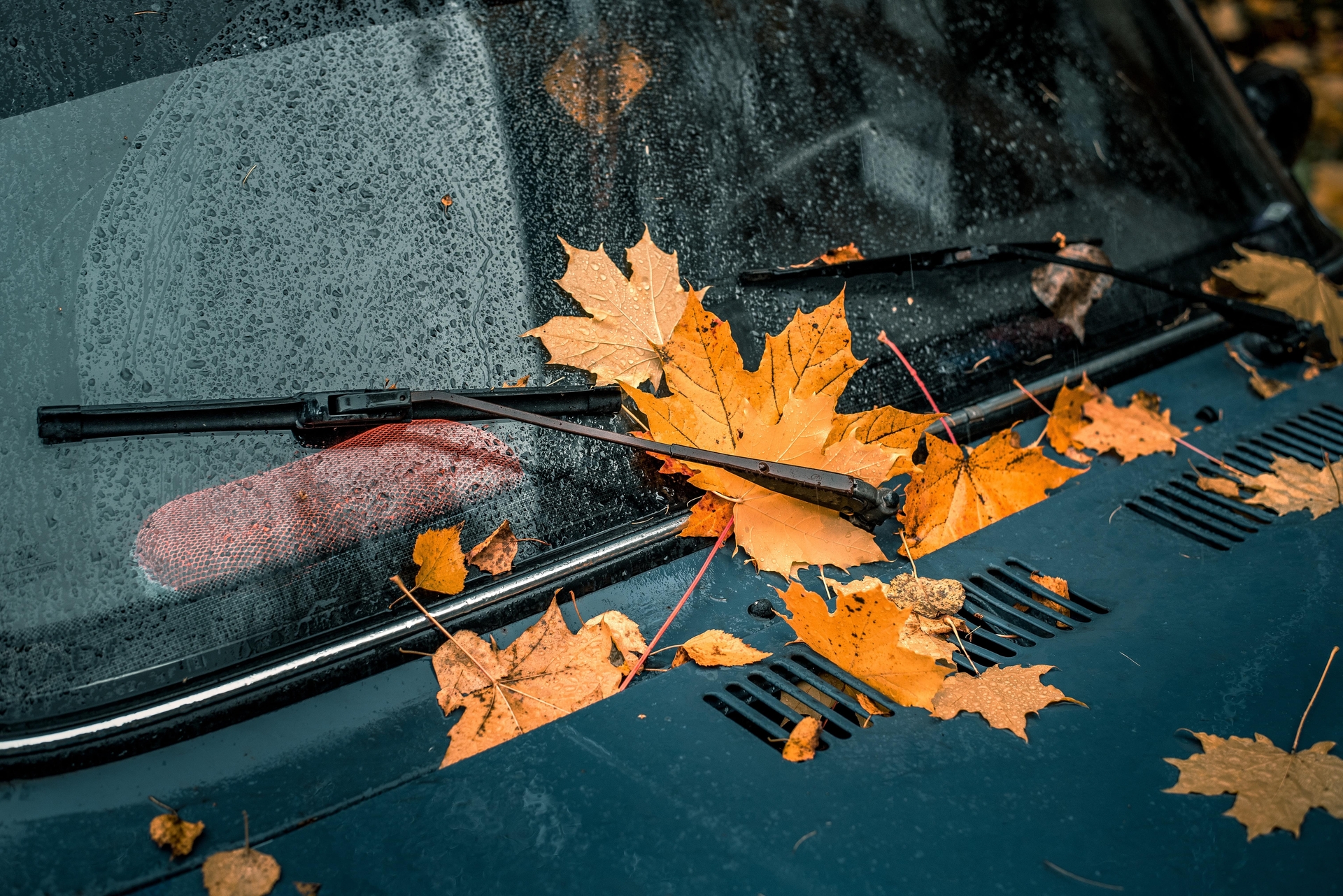 Zo bereid je jouw auto voor op de herfst